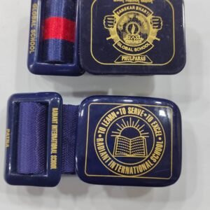 Sanskar Bharti Global School | Radiant International School